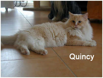 Queneau2